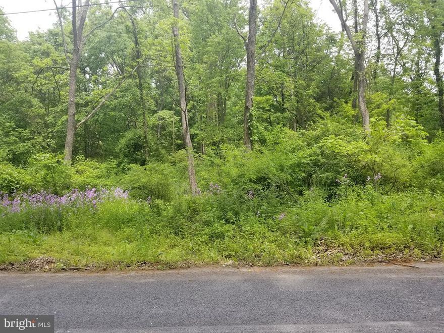 Chapman Township-Wood Lot. No deed restrictions. Sellers will PERK Test with reasonable offer. Wood lot great for recreation or home site. Seller is improving entry into property.,Farm Type: Other,Farm Fuel: None