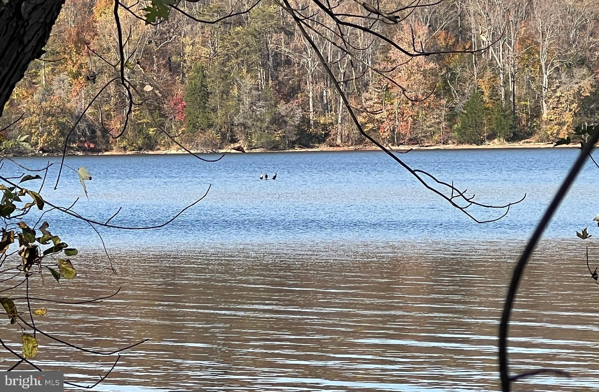 SPRINGDALE - Residential