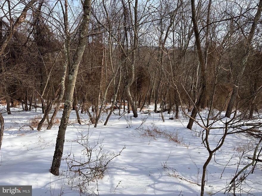 Flat 1.01 Ac lot right off of paved roads. Nice views from both side with Sleepy Creek Mtn and Cacapon Mtn visible.  Utilities available and a right of way road cut in already.