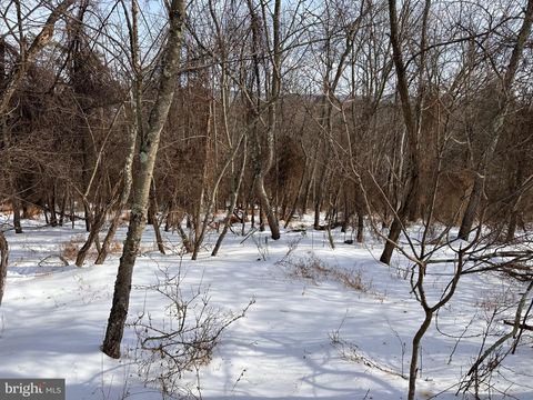 1.01 AC WINCHESTER GRADE ROAD BERKELEY SPRINGS WV 25411