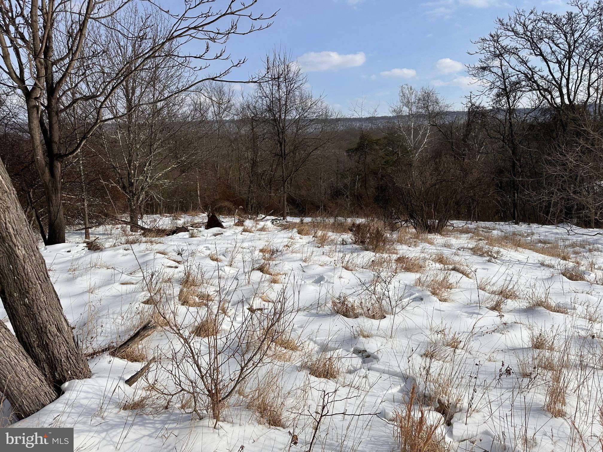 1.01 AC WINCHESTER GRADE ROAD