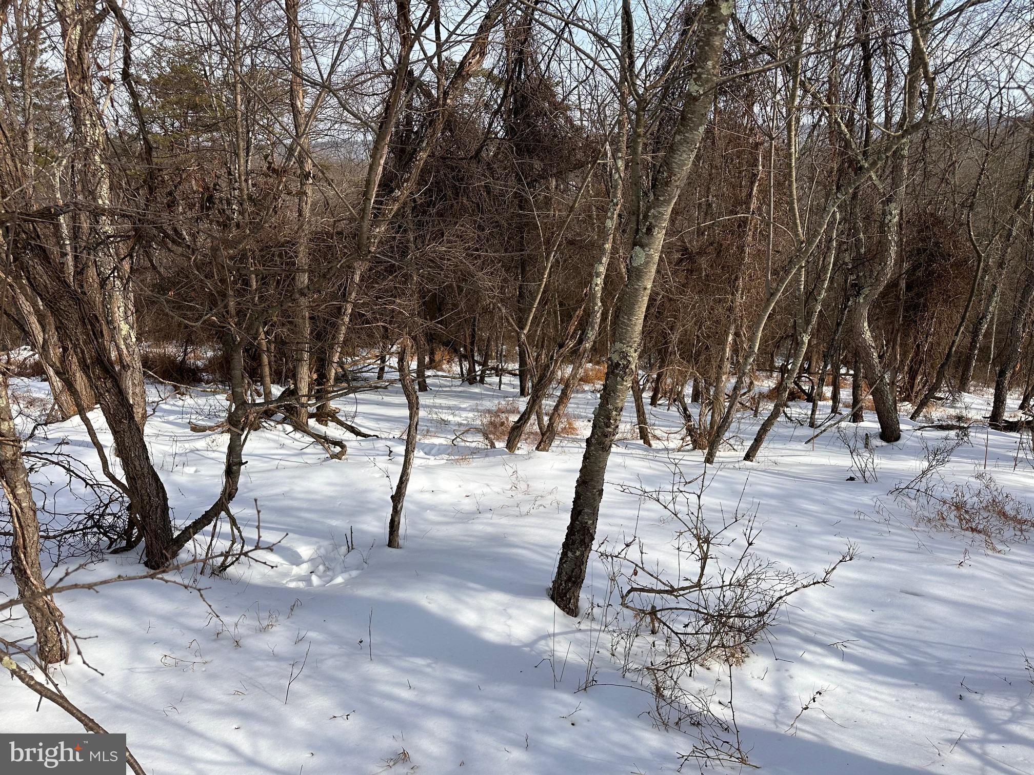 1.01 AC WINCHESTER GRADE ROAD