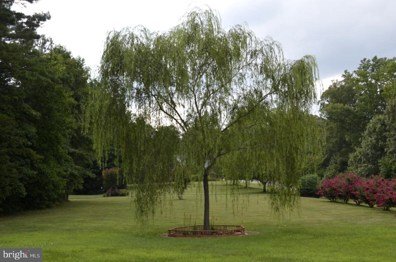 NEWTON MANOR - Residential