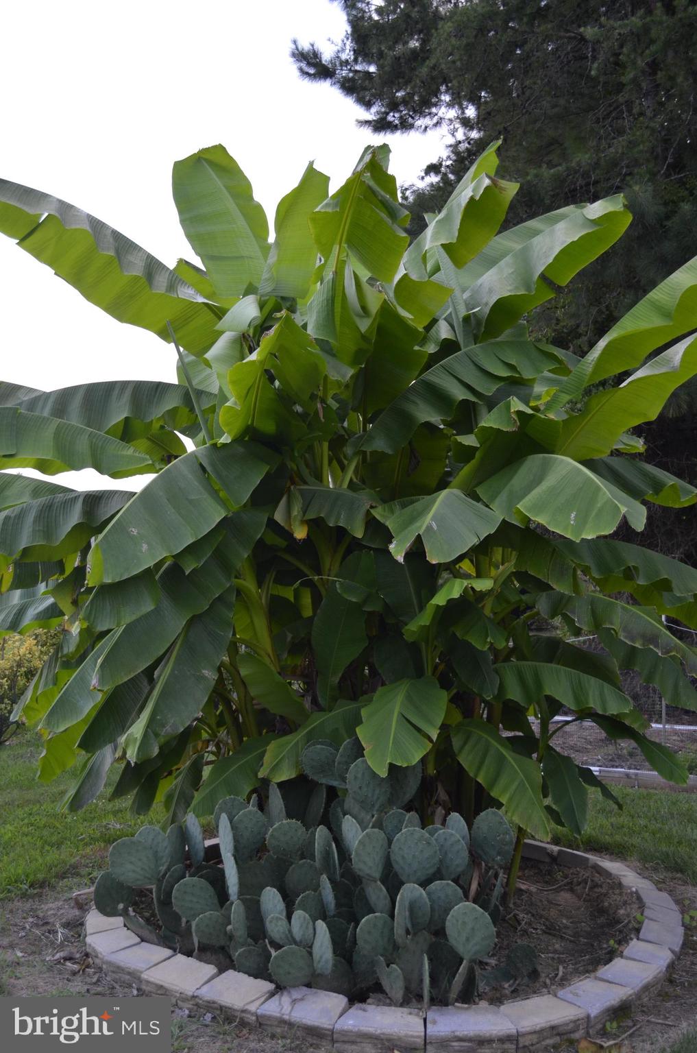 NEWTON MANOR - Residential