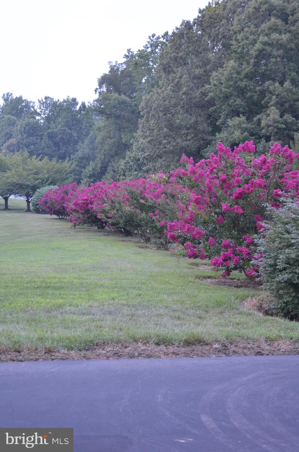 NEWTON MANOR - Residential
