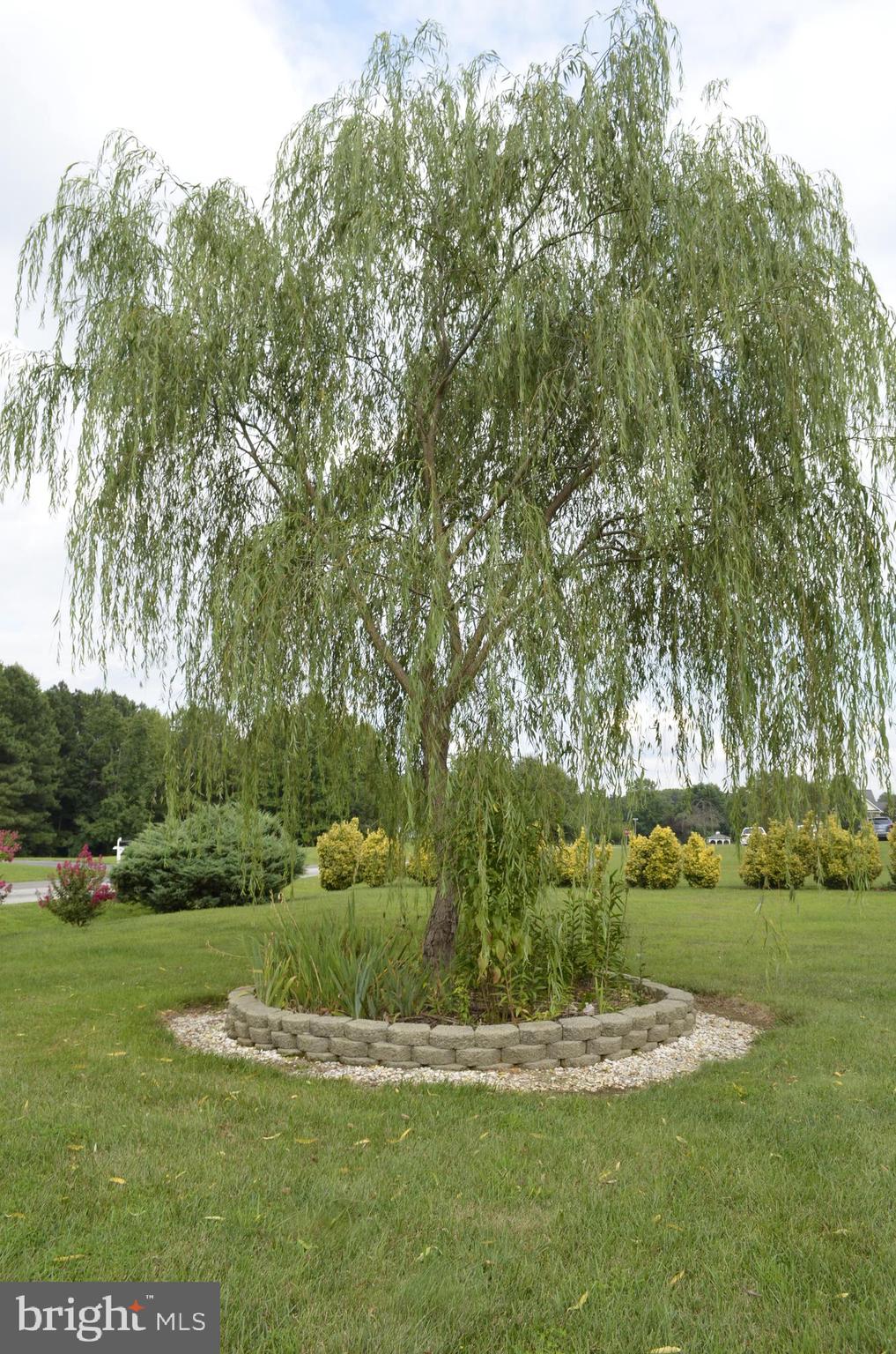 NEWTON MANOR - Residential