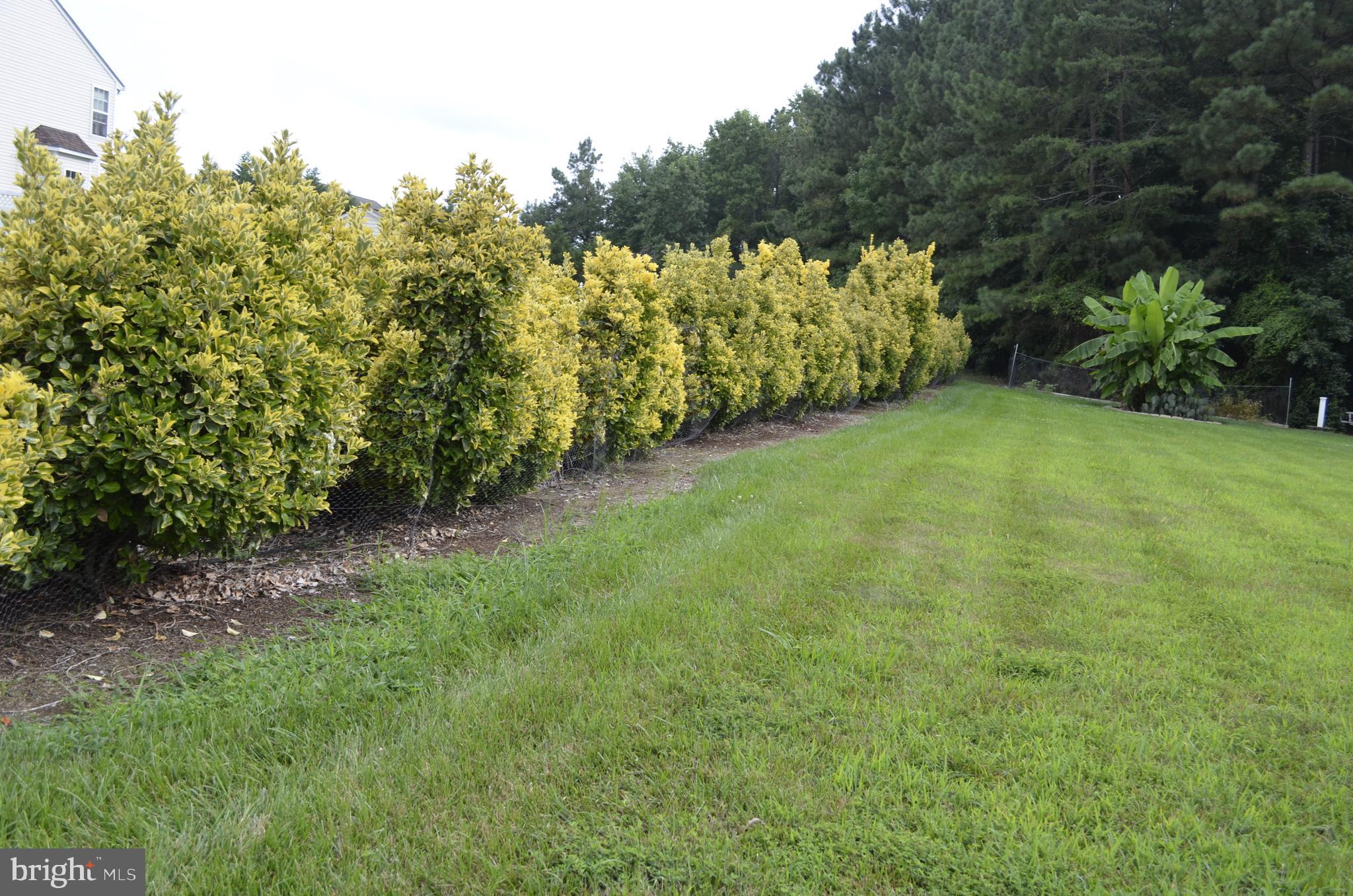 NEWTON MANOR - Residential