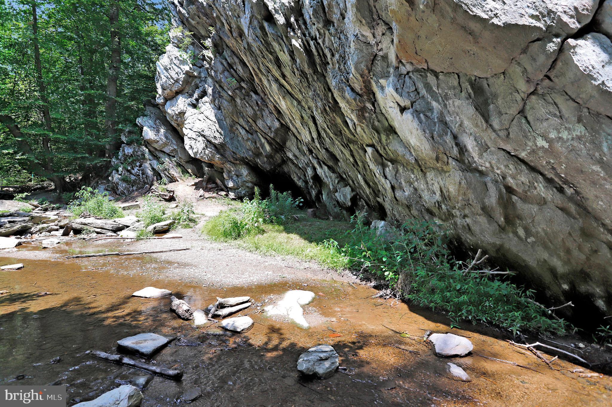 LAKE LINGANORE TOWN CENTER - Residential