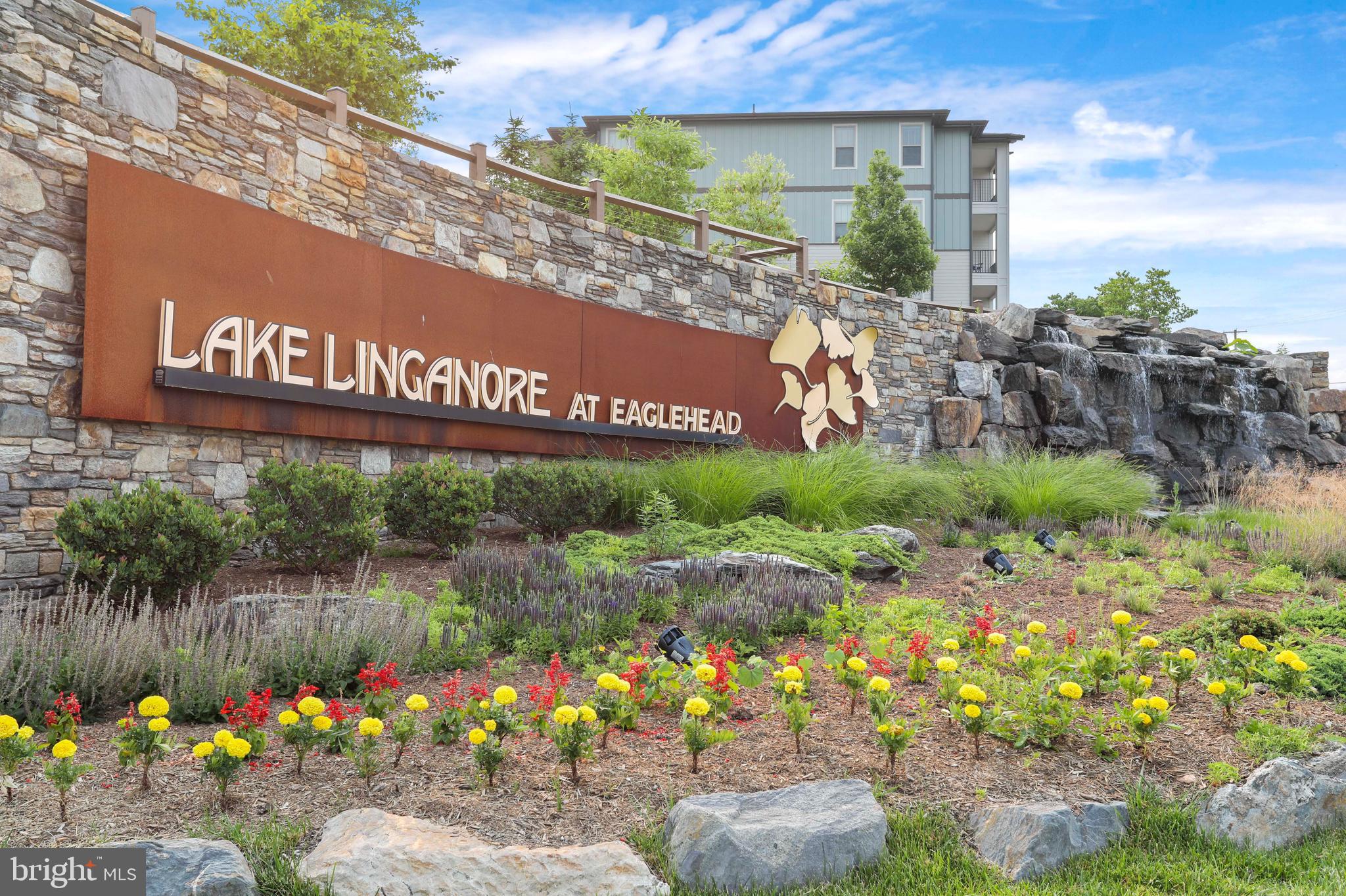 LAKE LINGANORE TOWN CENTER - Residential