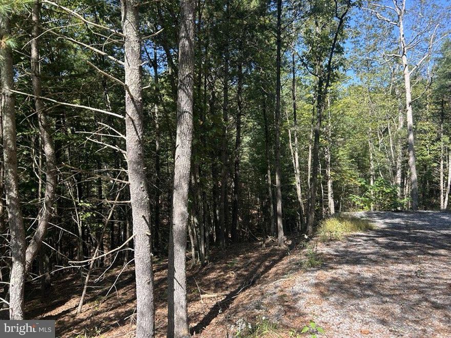 Lot 27 Slate Rock Crossing subdivision in Wardensville, West Virginia. Lot is a secluded, private, buildable 3.34 acre wooded lot deep within the subdivision. Private gravel road access. Electric and cable available. Requires a private well and septic system.