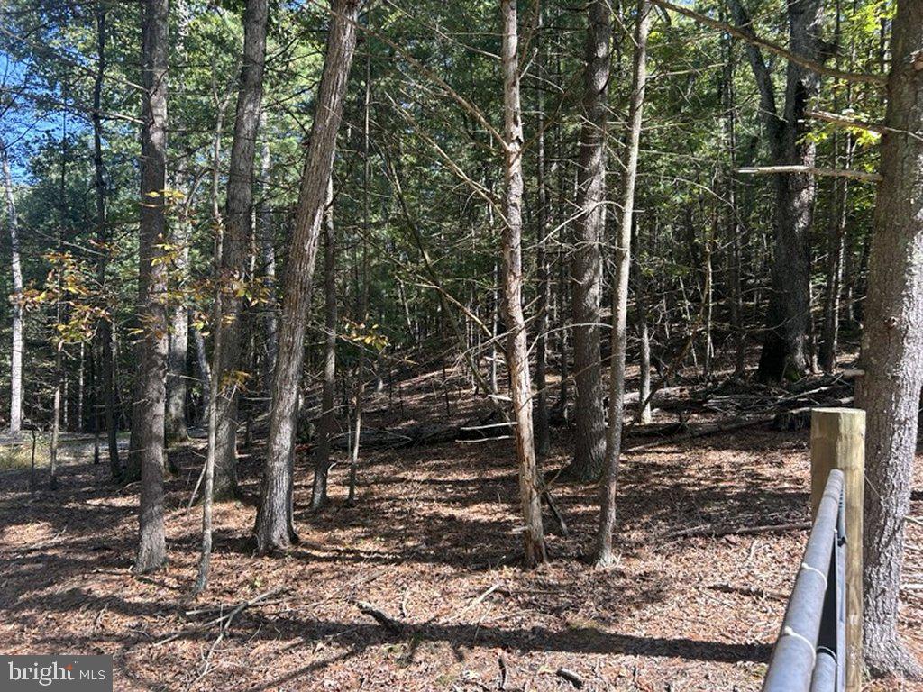 553 LOOKOUT RIDGE DRIVE