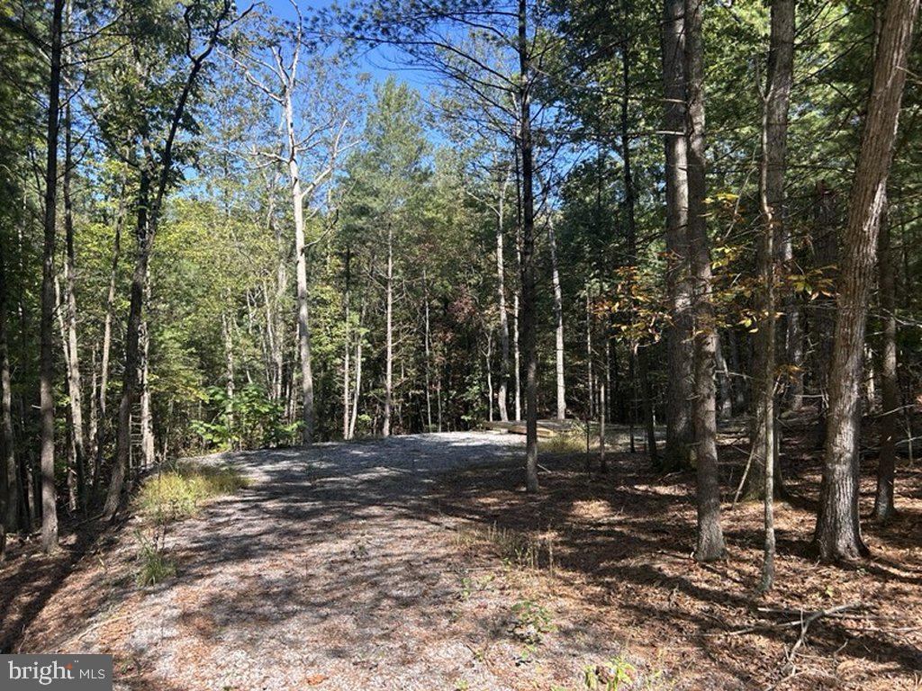 553 LOOKOUT RIDGE DRIVE