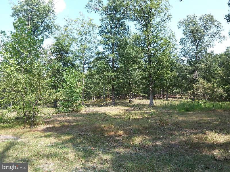 MAGNOLIA GLEN - Residential