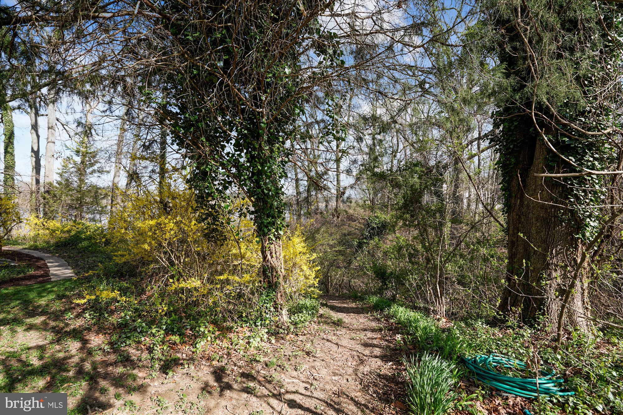 CENTREVILLE - Residential