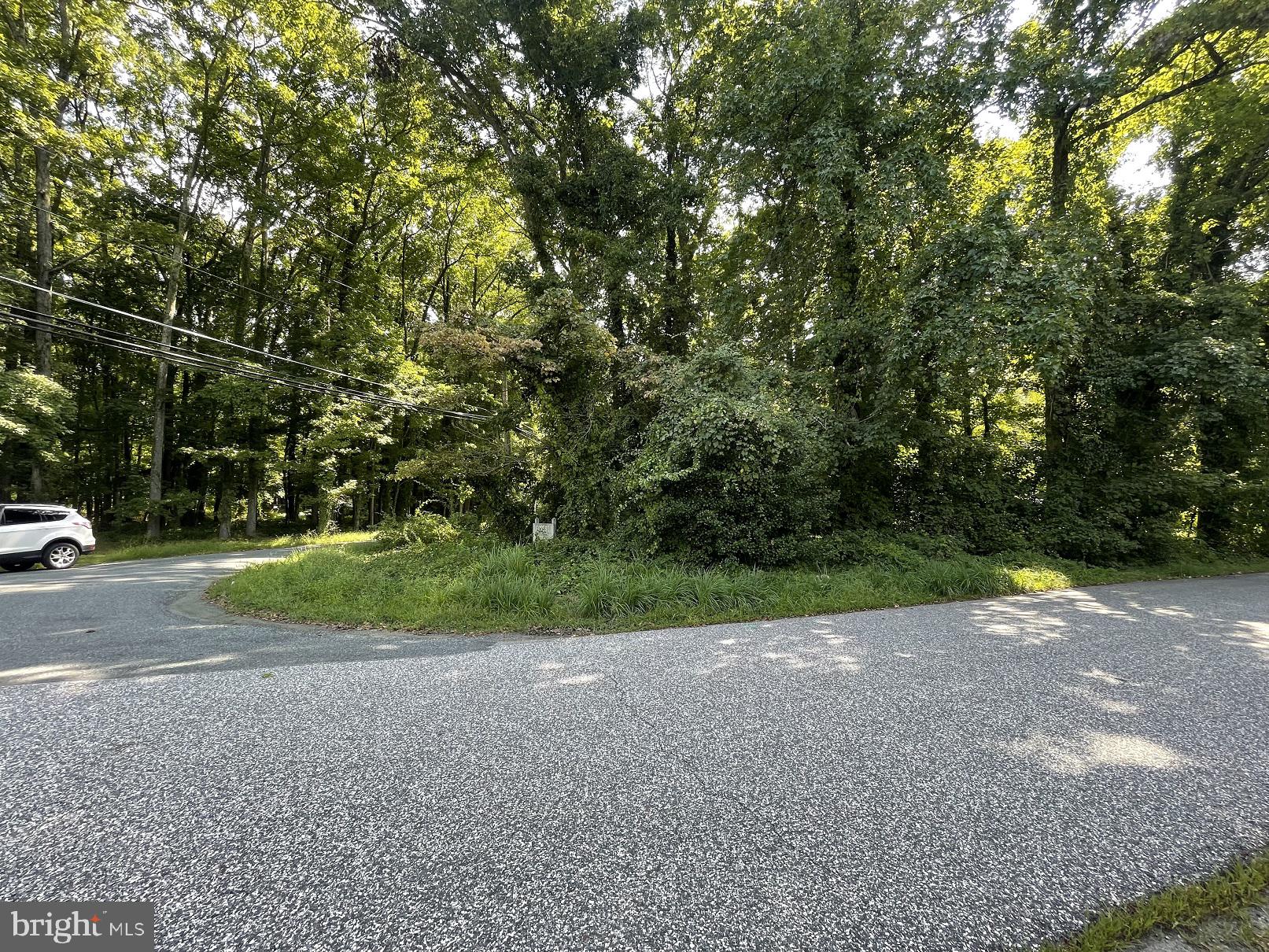 FOREST GREENS - Land