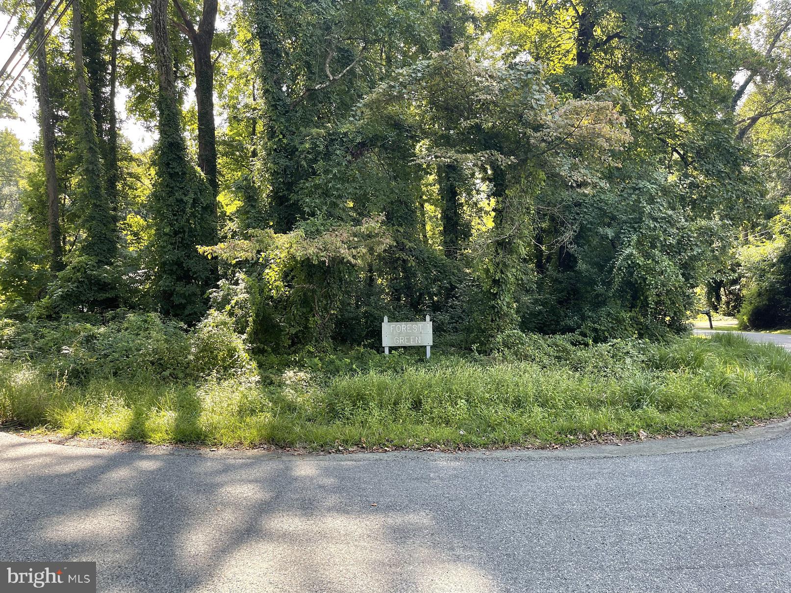 FOREST GREENS - Land