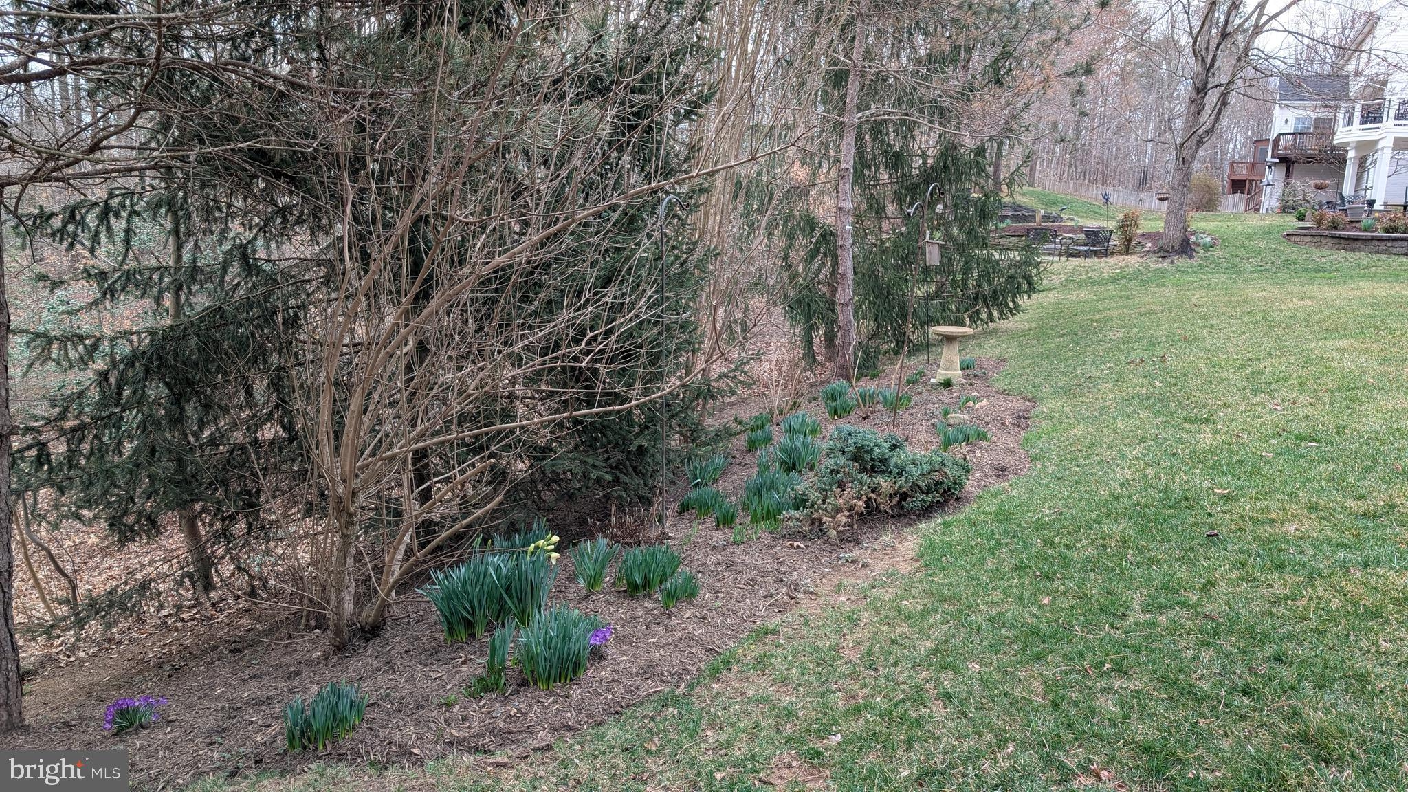 ASHLAND ESTATES - Residential