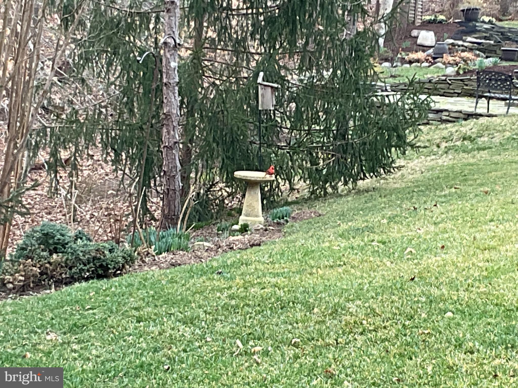 ASHLAND ESTATES - Residential