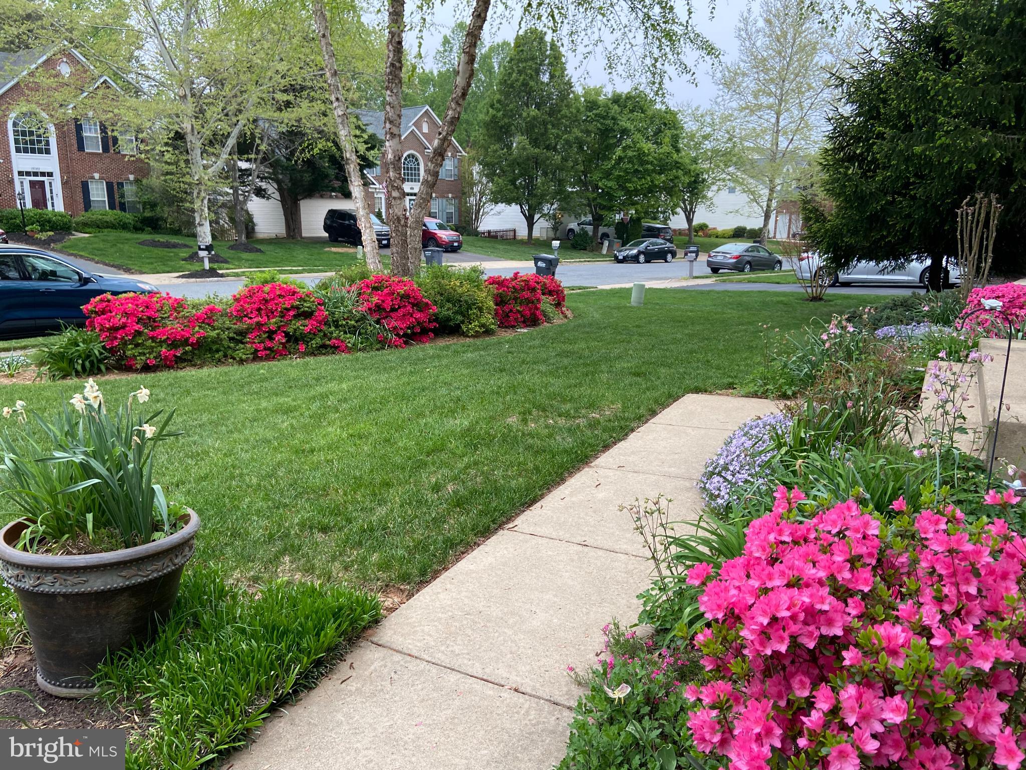 ASHLAND ESTATES - Residential