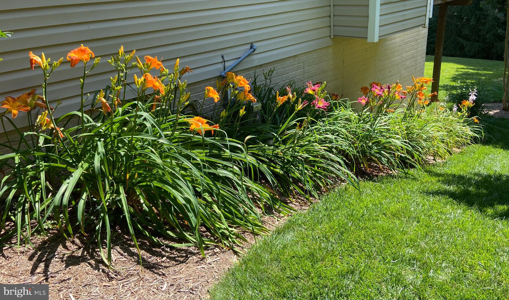 ASHLAND ESTATES - Residential