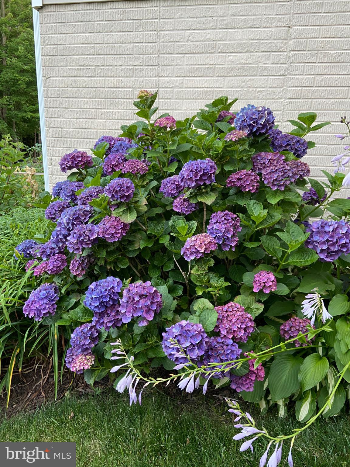 ASHLAND ESTATES - Residential