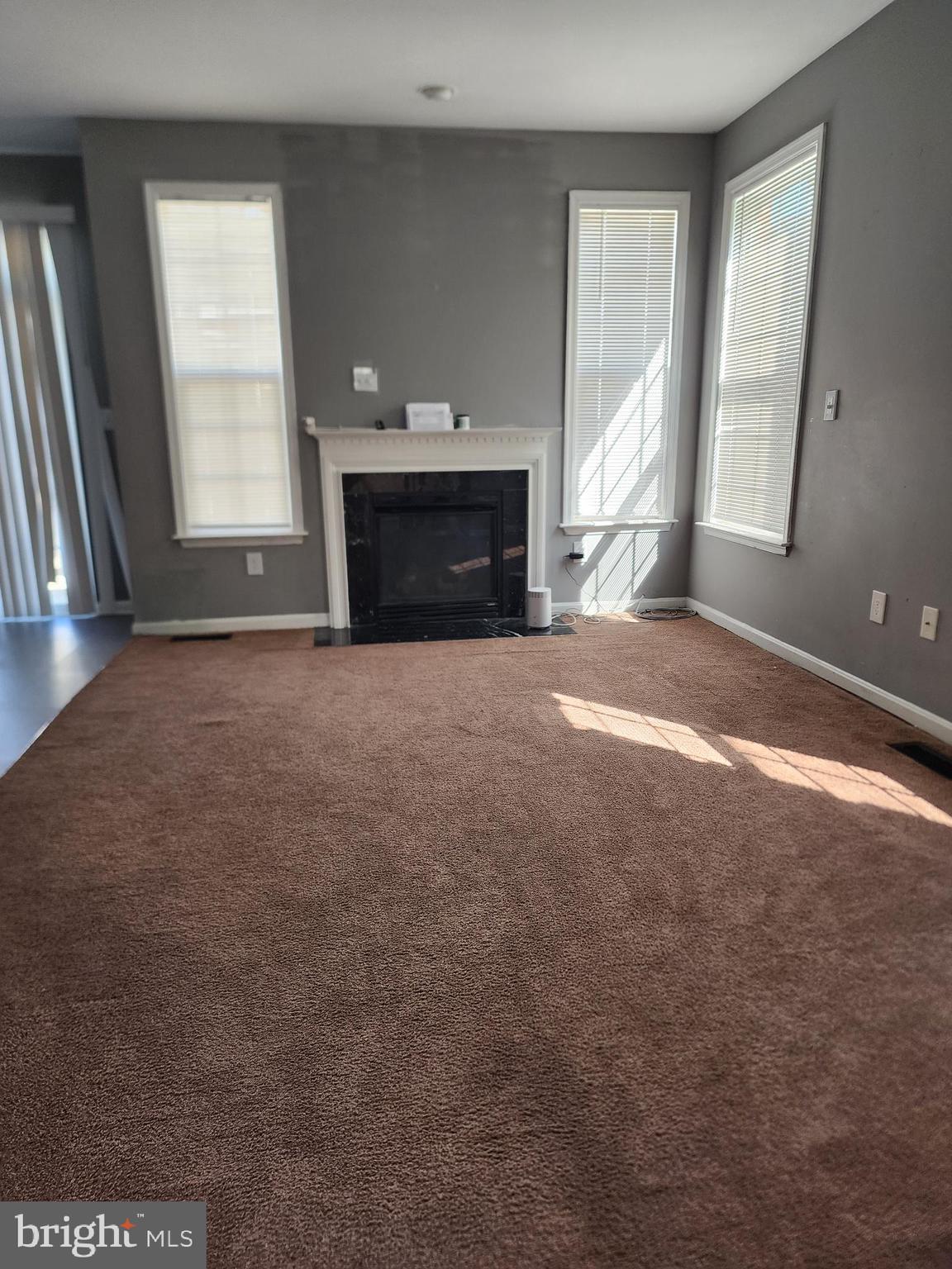 5206 MARIES RETREAT DRIVE 133