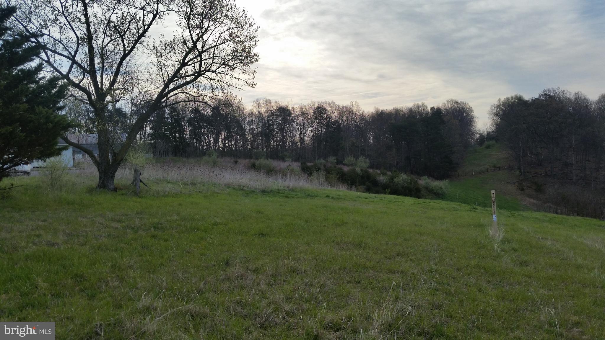 HOMEWOOD AT THE SHENANDOAH VALLEY - Land