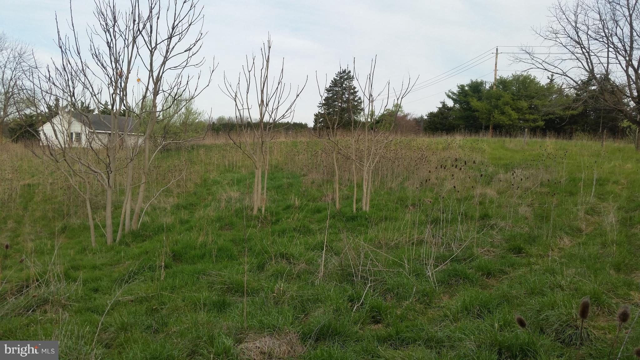 HOMEWOOD AT THE SHENANDOAH VALLEY - Land