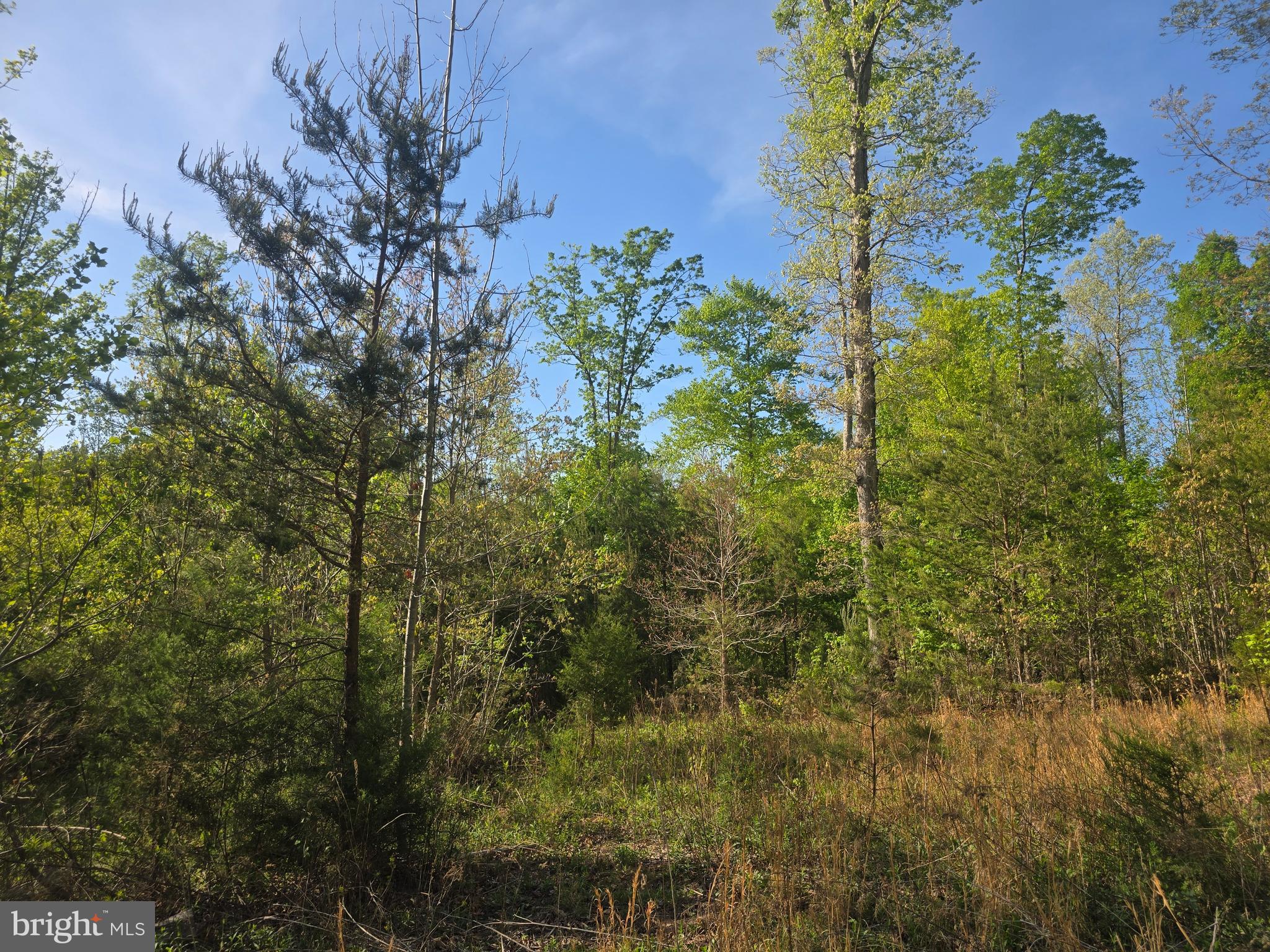 NONE AVAILABLE - Land