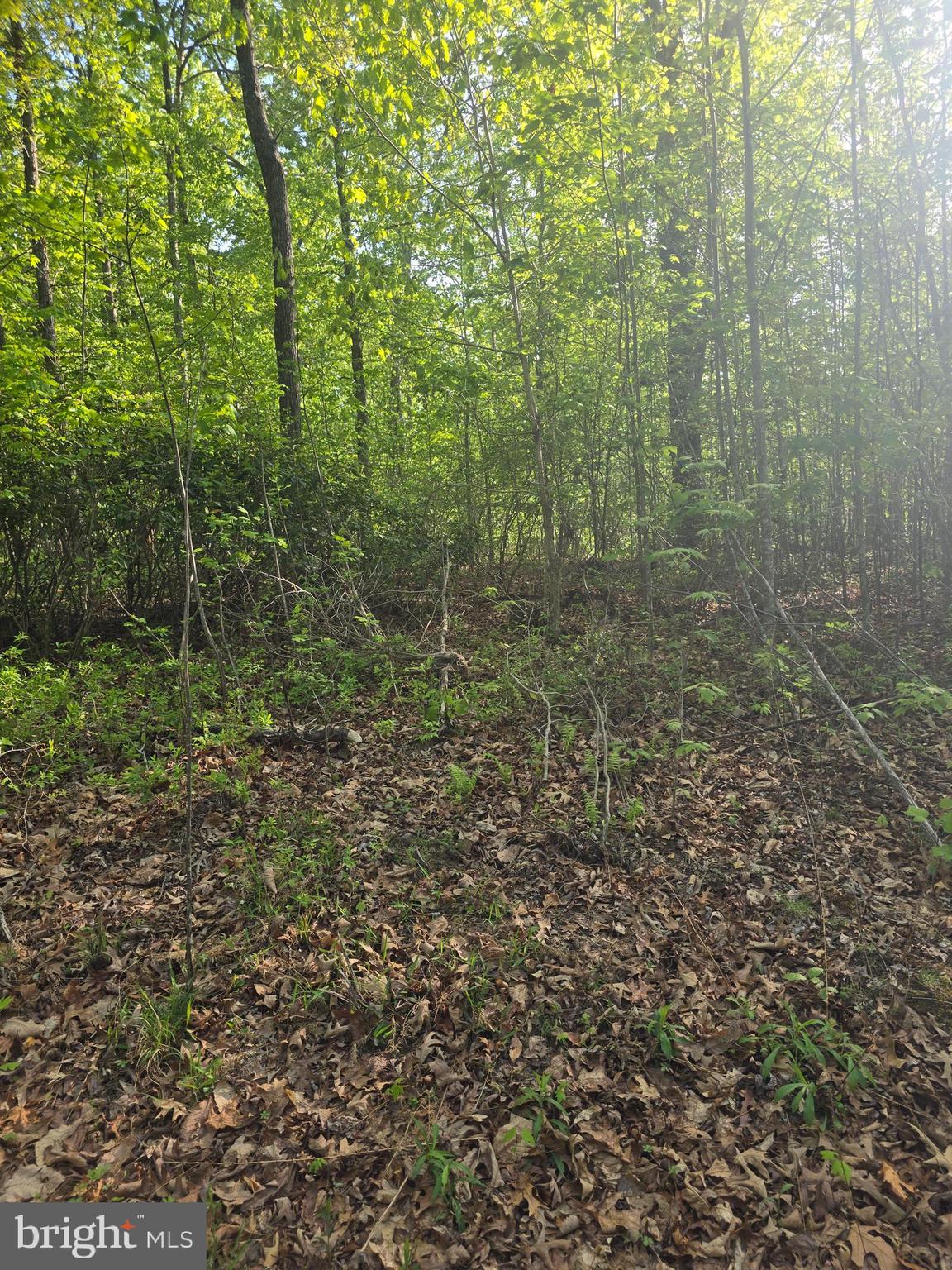 NONE AVAILABLE - Land