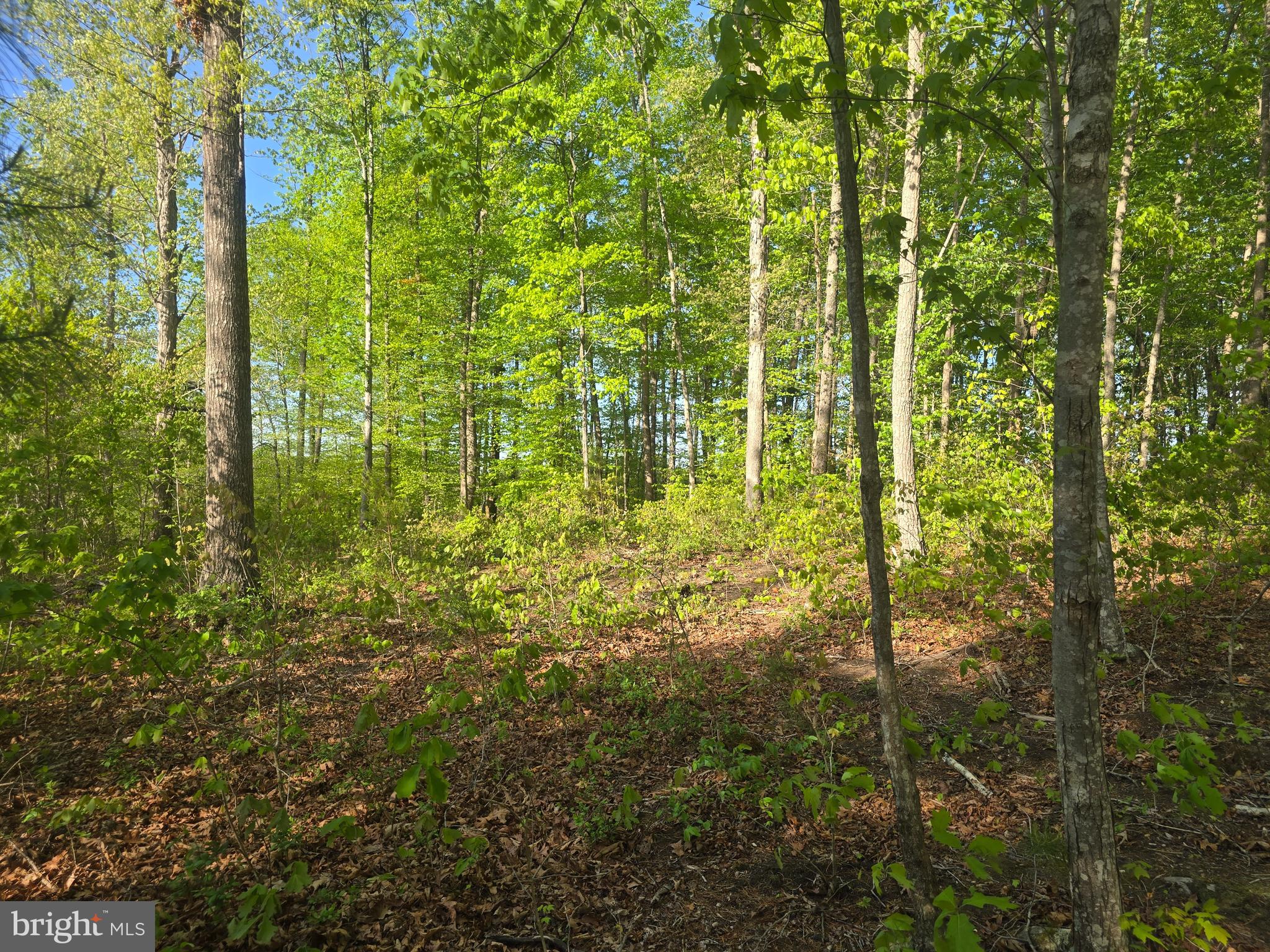 NONE AVAILABLE - Land