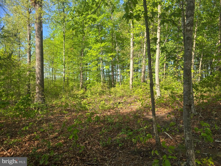 Discover your possibilities with this prime 17+ acre property already thoughtfully divided into 4 individual lots (Lots 5, 6, 7, 8). Bring your vision to life whether you are envisioning a private estate, multi-generational family compound or exploring development opportunities, this property delivers. Ideally located just outside of Blue Ridge Shores and minutes from Lake Anna and local attractions, it combines peace & seclusion with everyday convenience.