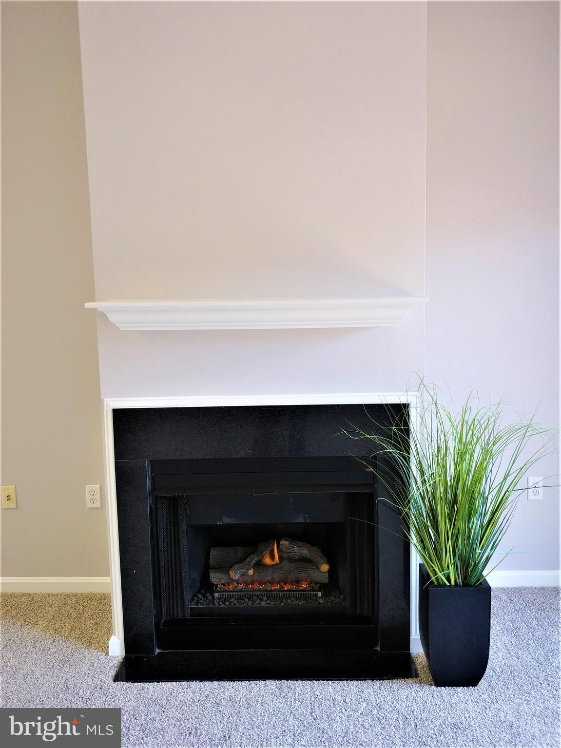 FAIRFAX RIDGE CONDOS - Residential