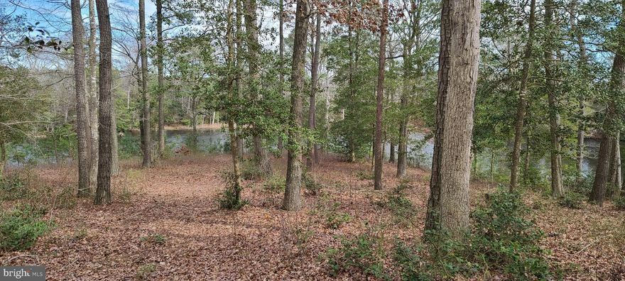 Beautiful Olde Mill Pointe property on the Eastern Shore of Virginia has just become available. Surrounded by Lake on 3 sides, these highly elevated lots in a private setting on a cul-de-sac are just waiting for your new home ... very tranquil setting where wildlife and nature abounds ... home can be sited for maximum privacy and with two separate lots how about a lovely compound surrounded by nature. Community has salt water swimming pool and pool house area great for picnics, night swimming etc. Please make plans to visit our beautiful area soon. GATED COMMUNITY - PLEASE CONTACT FOR CODE. POSSIBLE OWNER FINANCING AVAILABLE WITH EXCELLENT CREDIT AND SUBSTANTIAL DOWN PAYMENT. The HOA fee of $1360 is combined for both lots, $680 a piece.