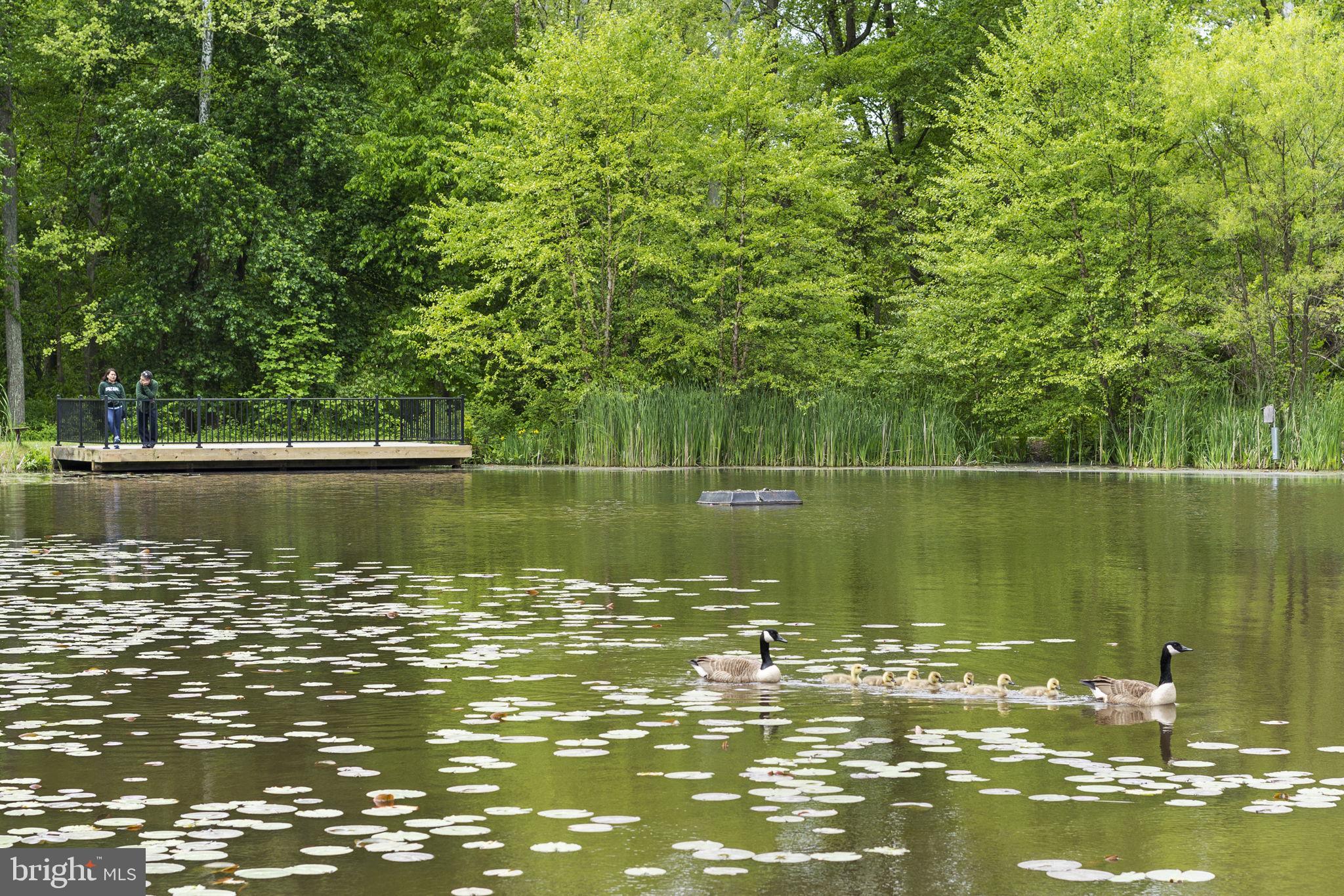 WESTFIELD - Residential