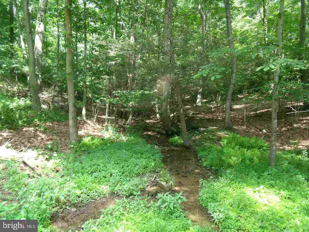 TROUT RUN - Residential