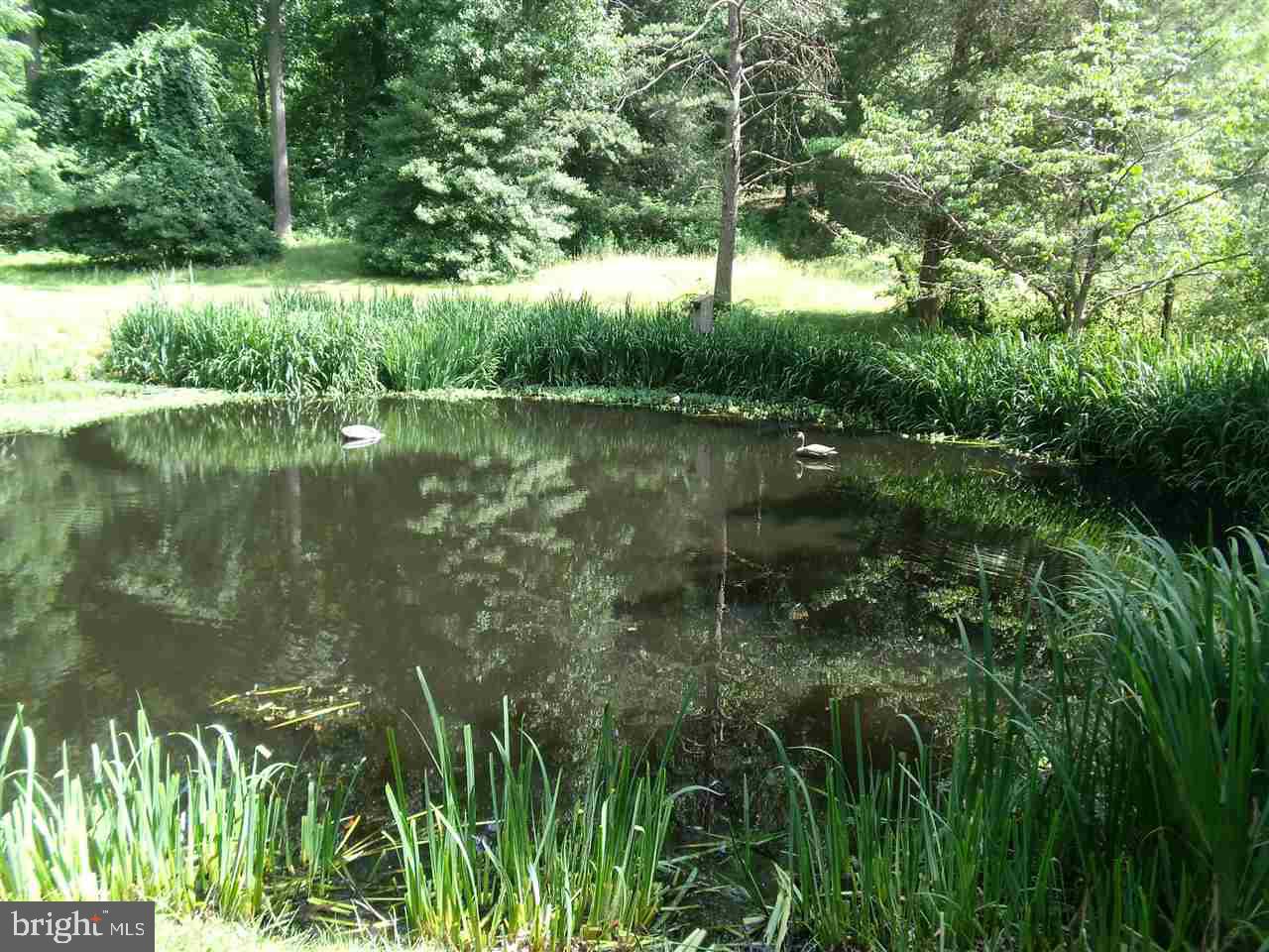 TROUT RUN - Residential