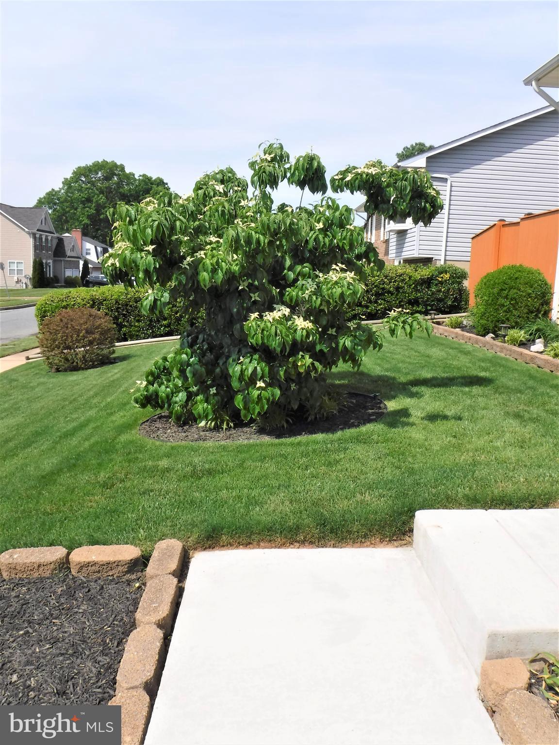 GRIMESDALE - Residential