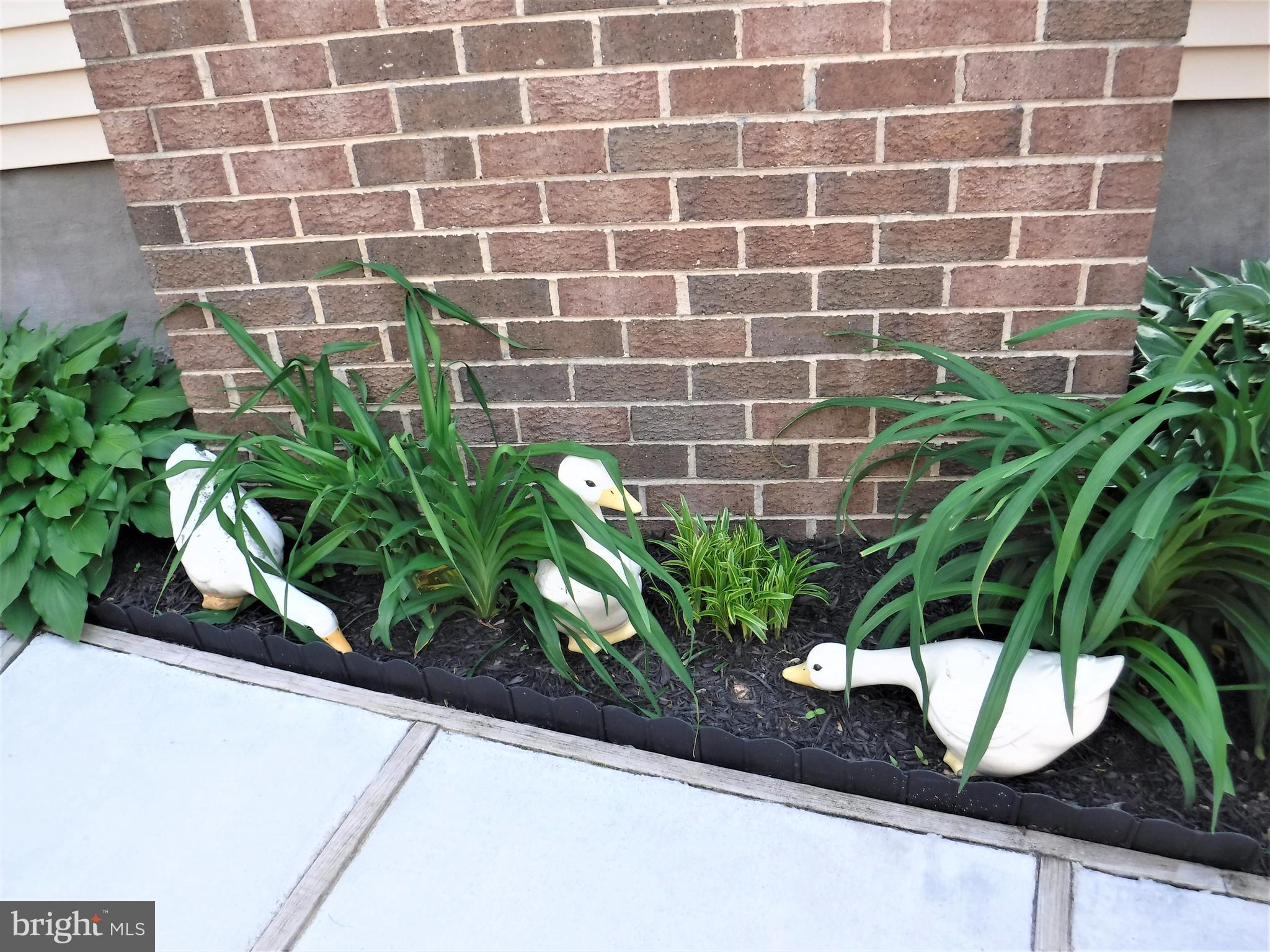 GRIMESDALE - Residential