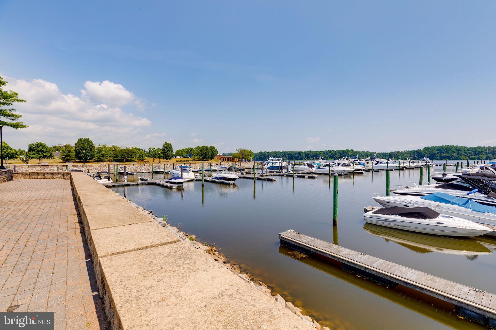 RIVER CLUB 1 AT BELMONT - Residential