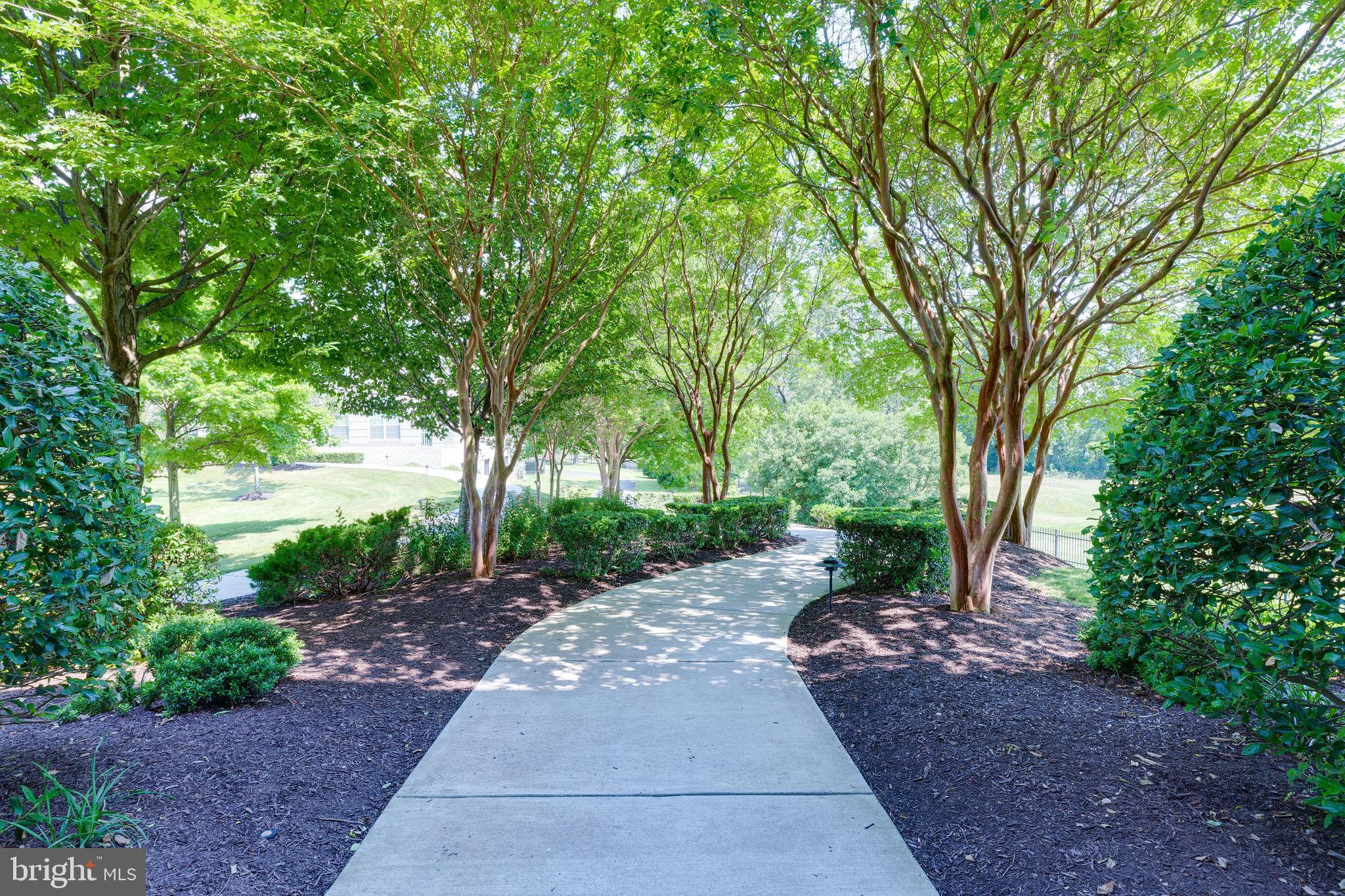 RIVER CLUB 1 AT BELMONT - Residential