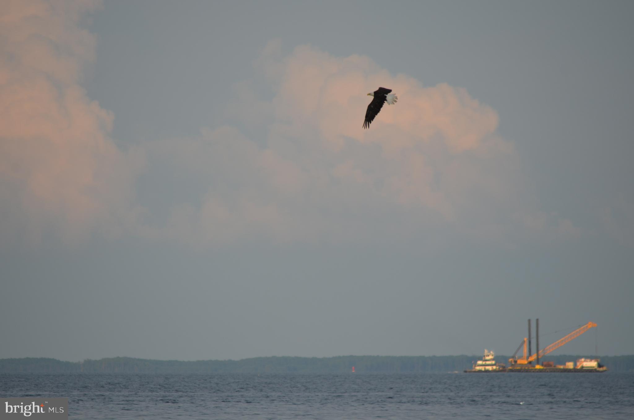 CHESAPEAKE RANCH ESTATES - Residential