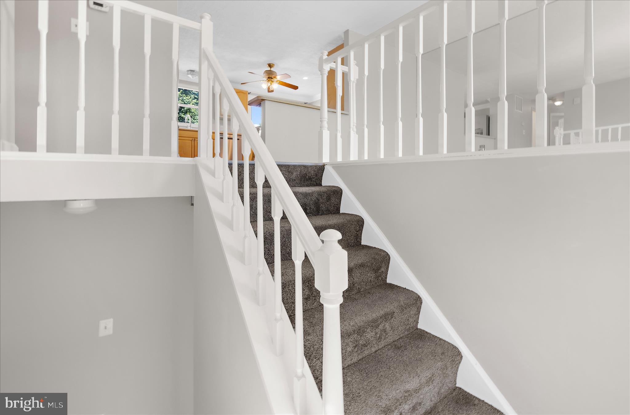 7854 TICK NECK ROAD