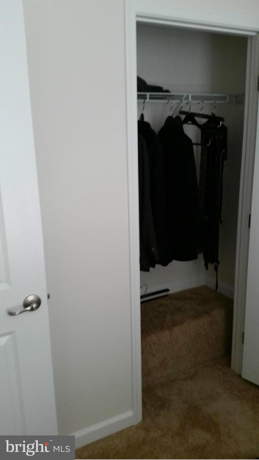 ARCOLA - Residential Lease