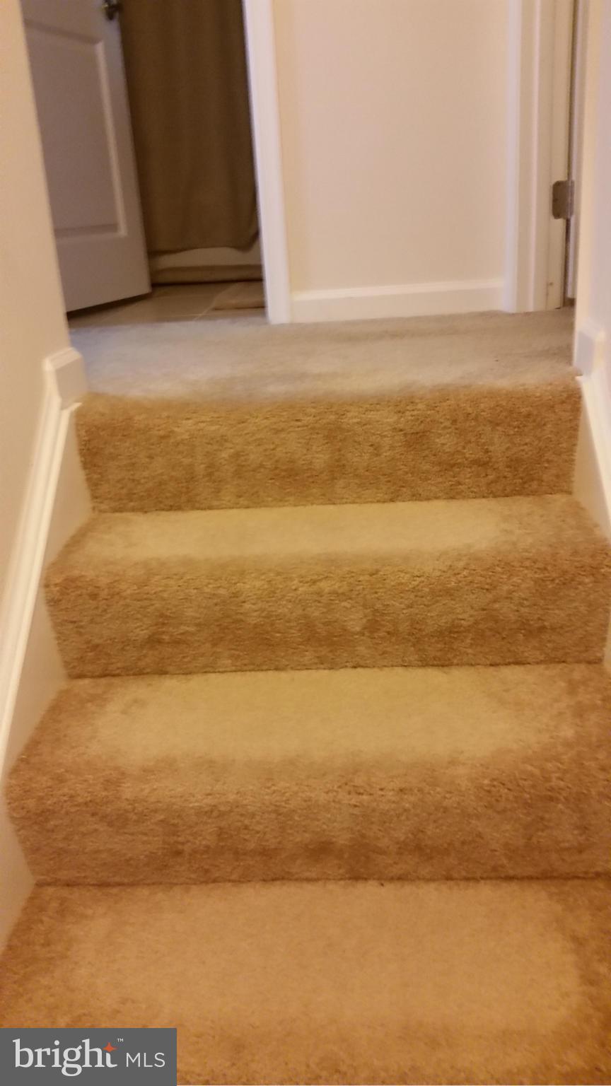 ARCOLA - Residential Lease