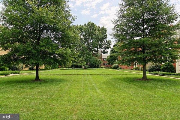 BELLE VIEW - Residential Lease