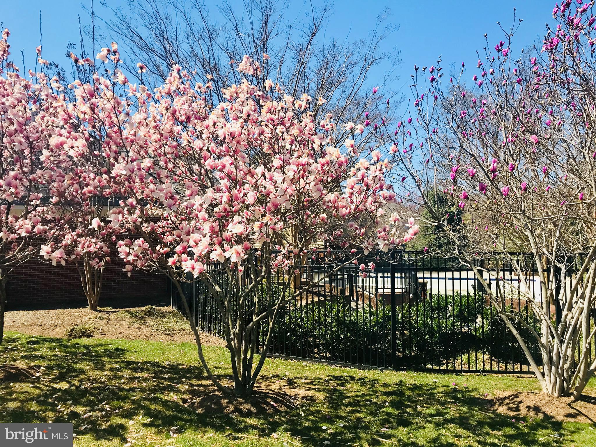 RANDOM HILLS LAND BAY - Residential