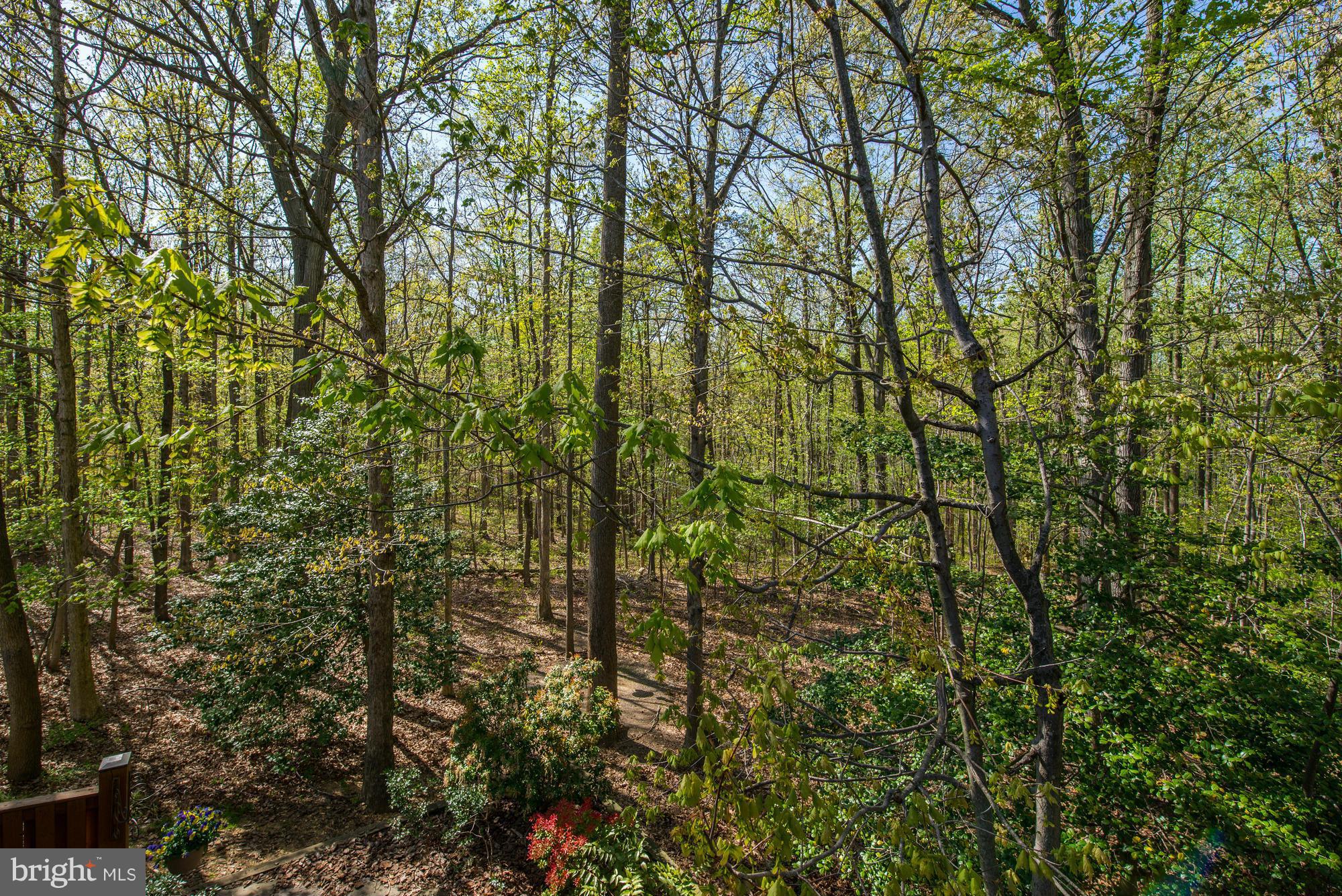 ISLAND CREEK - Residential