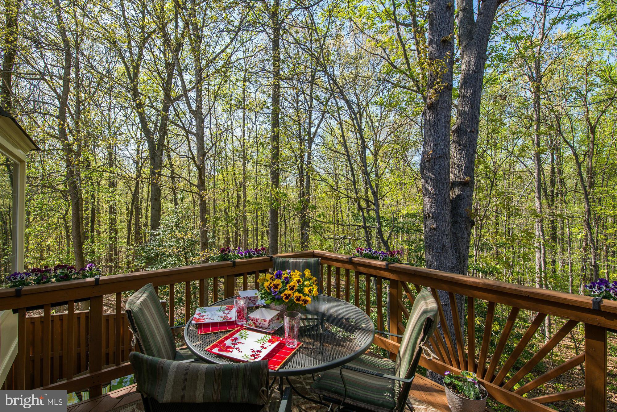 ISLAND CREEK - Residential