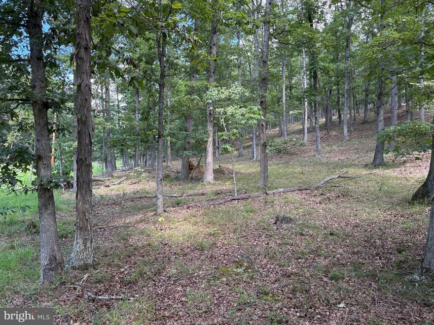 This is NOT raw land—this 20.32-acre property is already loaded with improvements and primed for your vision. Densely wooded and private, it features a gravel-surfaced driveway that leads directly to a level cleared build site with a drilled well in place. The heavy lifting has already been done, saving you time, money, and hassle. You’re not just buying potential—you’re buying progress. Situated as an exterior lot in the legendary Ashton Woods Subdivision, this property delivers the perfect blend of privacy and convenience. You’ll enjoy the full mountain lifestyle while benefiting from direct county road access—no endless rough backroads to battle just to reach your land. Accessibility and seclusion rarely come together this seamlessly. Adventure is at your doorstep in every direction. Hunt the 10,000-acre Nathaniel Mountain Wildlife Management Area, chase trophy whitetail, turkey, and bear, or launch your kayak or tie a bunch of tubes together with family and friends into the scenic South Branch of the Potomac River for world-class fishing and paddling. When winter arrives, head to the magnificent slopes of Canaan Valley for some of the best skiing in the Mid-Atlantic. And when it’s time to recharge, you’re just two hours west of Washington, D.C., making this an easy escape from city life. Adding even more value, the property’s southern boundary is defined by a massive power line—a dream setup for outdoorsmen. This corridor is ideal for hunting, creating long-range shooting lanes, or even developing food plots. It’s a rare feature that makes the land as functional as it is beautiful. Why settle for unimproved raw acreage when you can have a property with serious upgrades and unlimited potential? The infrastructure is in, the location is unbeatable, and the recreational opportunities are endless. Stop waiting and start doing—this is your chance to secure land that’s already prepped, already valuable, and already delivering. Make the move now, because properties like this disappear fast and once it’s gone, it’s gone.